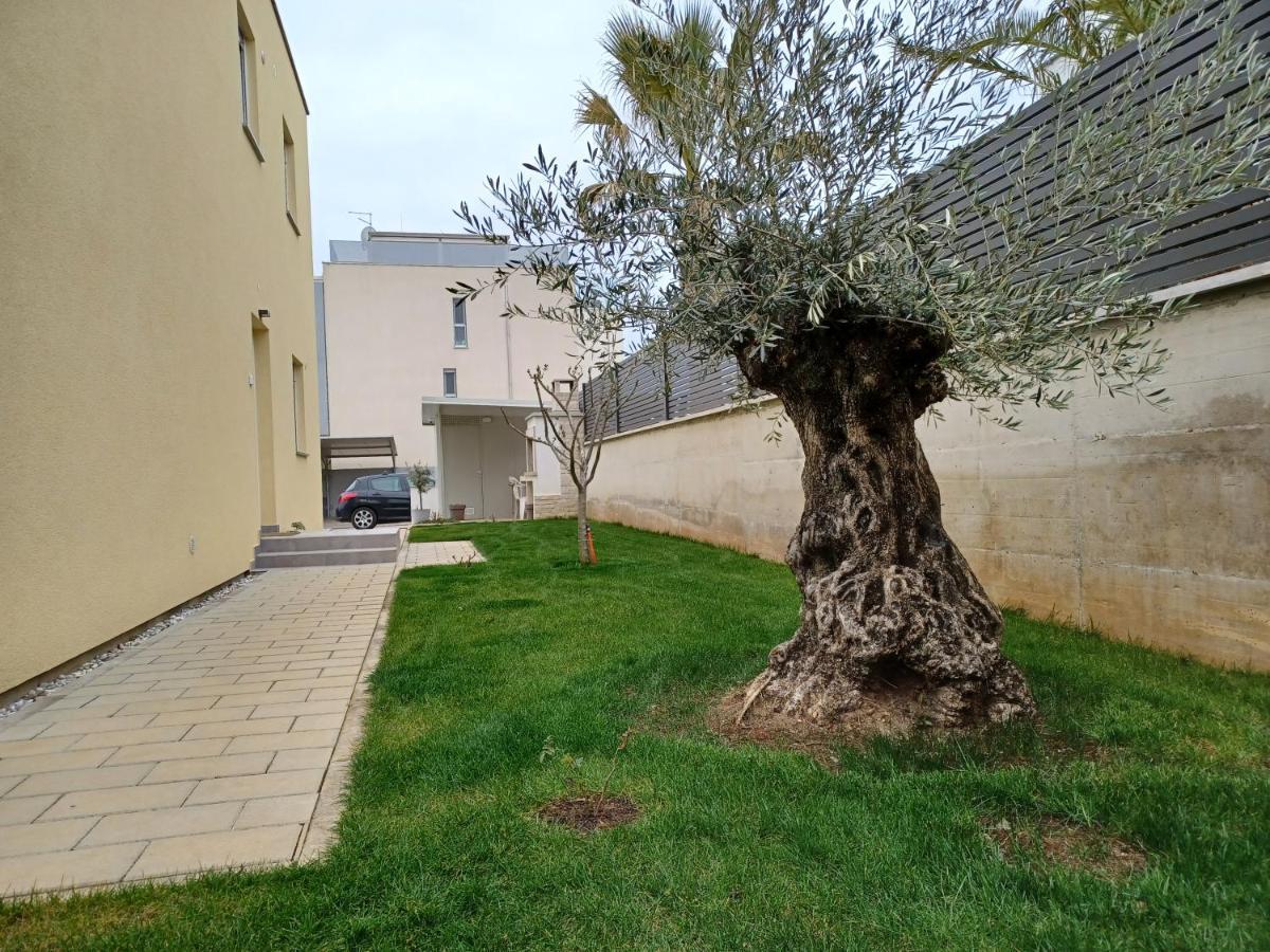 Apartments Leon 2 Novigrad  Exterior photo
